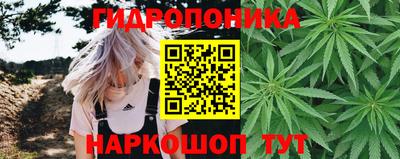 дмт Ливны