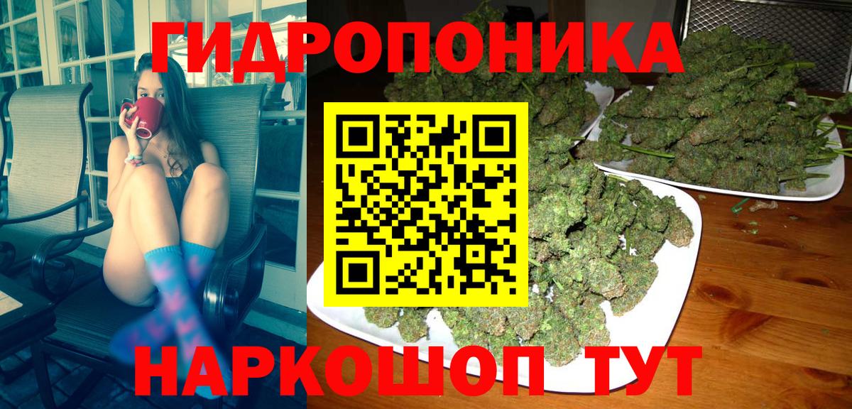 Каннабис сатива Клинцы